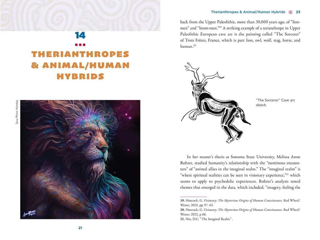 
                  
                    Simon & Schuster - Illustrated Field Guide to DMT Entities by David Jay Brown
                  
                