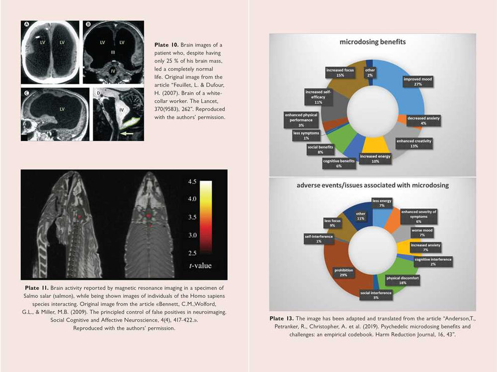 
                  
                    Simon & Schuster - Neuroscience of Psychedelics by Genís Ona
                  
                