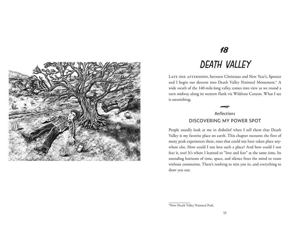 
                  
                    Simon & Schuster - My Altered States by Rick Strassman
                  
                