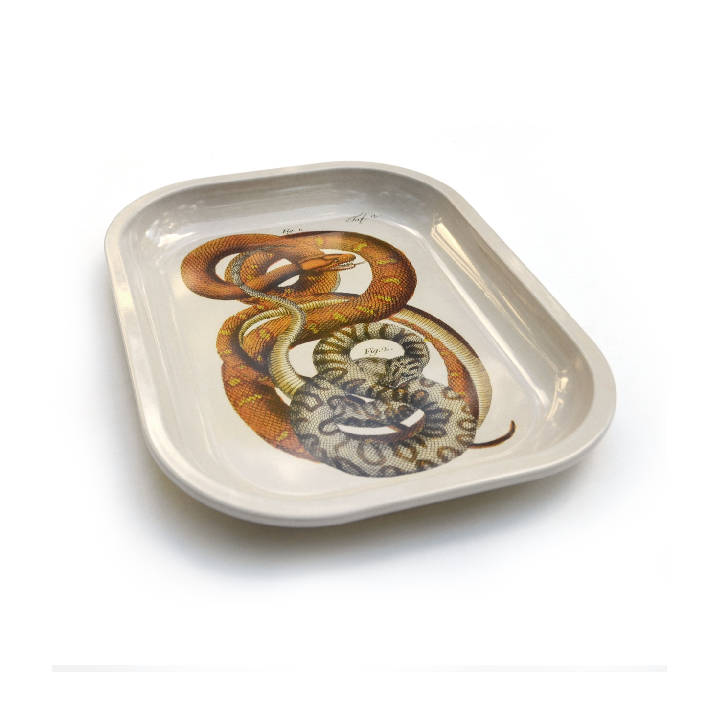 
                  
                    Curious Prints - Small Metal Snake Ritual Tray / Vintage Print Rolling Tray
                  
                
