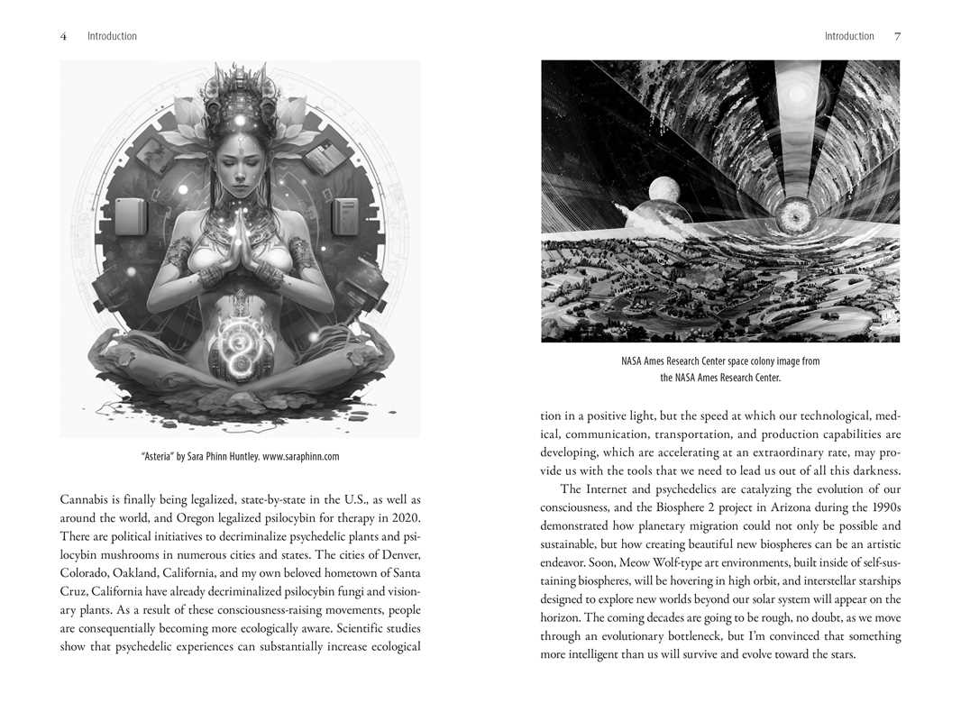 
                  
                    Simon & Schuster - Psychedelics and the Coming Singularity by David Jay Brown: Paperback; 400 pages / English
                  
                