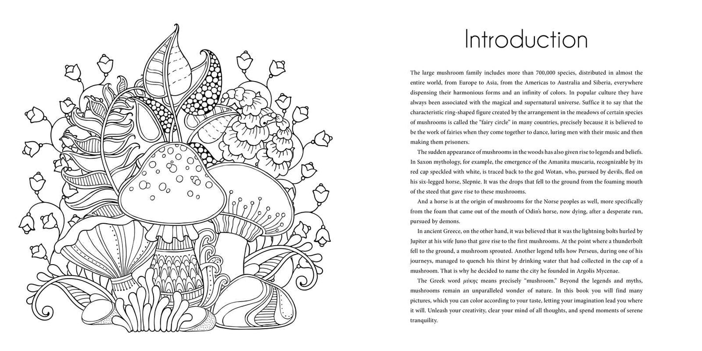 
                  
                    Simon & Schuster - Magic Mushrooms Coloring Book by
                  
                