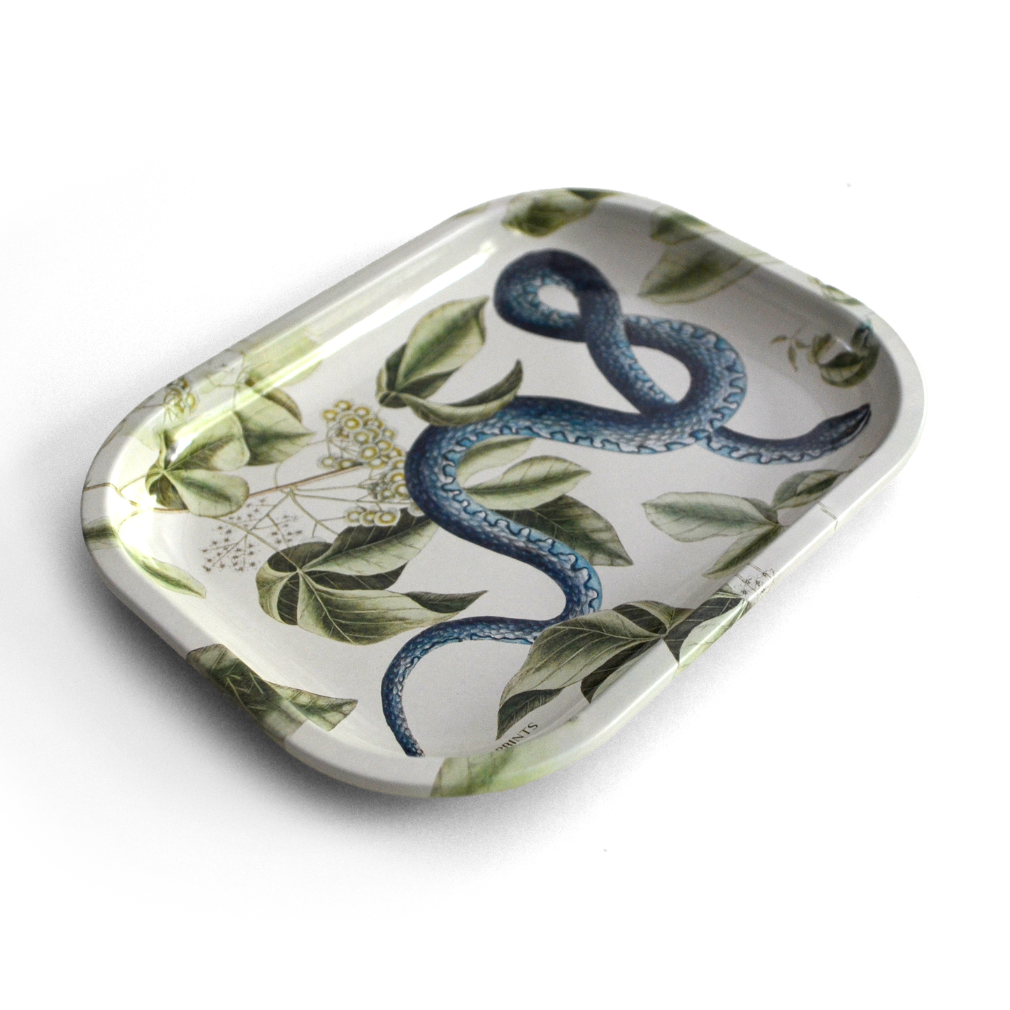 
                  
                    Curious Prints - Small Metal Vintage Blue Snake Trinket Tray
                  
                