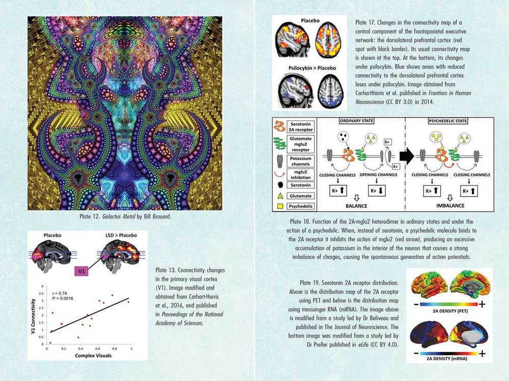 
                  
                    Simon & Schuster - Psychedelics and Mental Health by Irene de Caso
                  
                