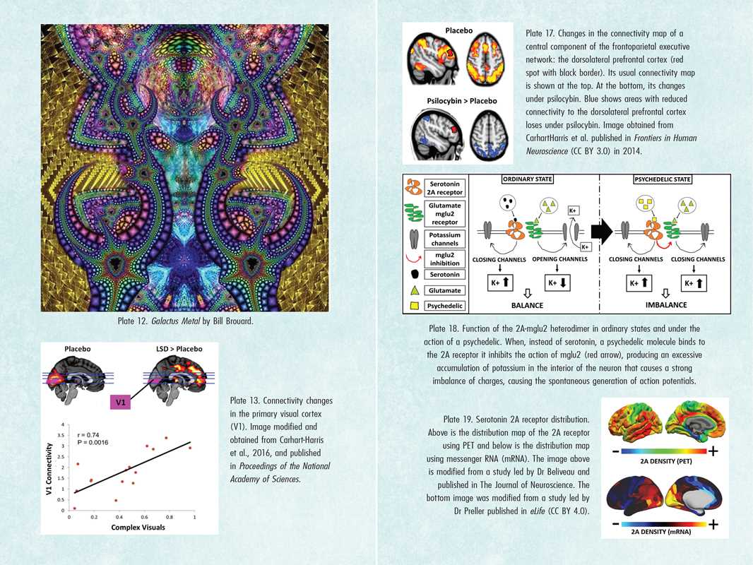 
                  
                    Simon & Schuster - Psychedelics and Mental Health by Irene de Caso
                  
                