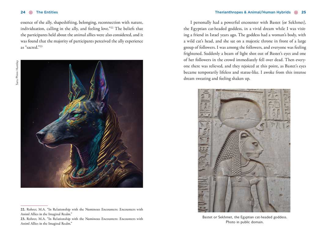 
                  
                    Simon & Schuster - Illustrated Field Guide to DMT Entities by David Jay Brown
                  
                