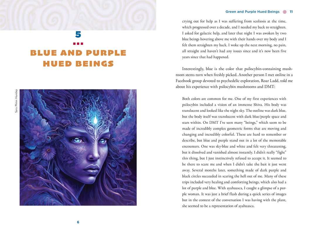 
                  
                    Simon & Schuster - Illustrated Field Guide to DMT Entities by David Jay Brown
                  
                
