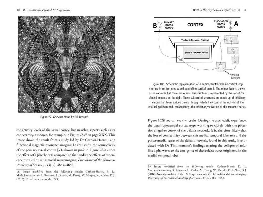 
                  
                    Simon & Schuster - Psychedelics and Mental Health by Irene de Caso
                  
                