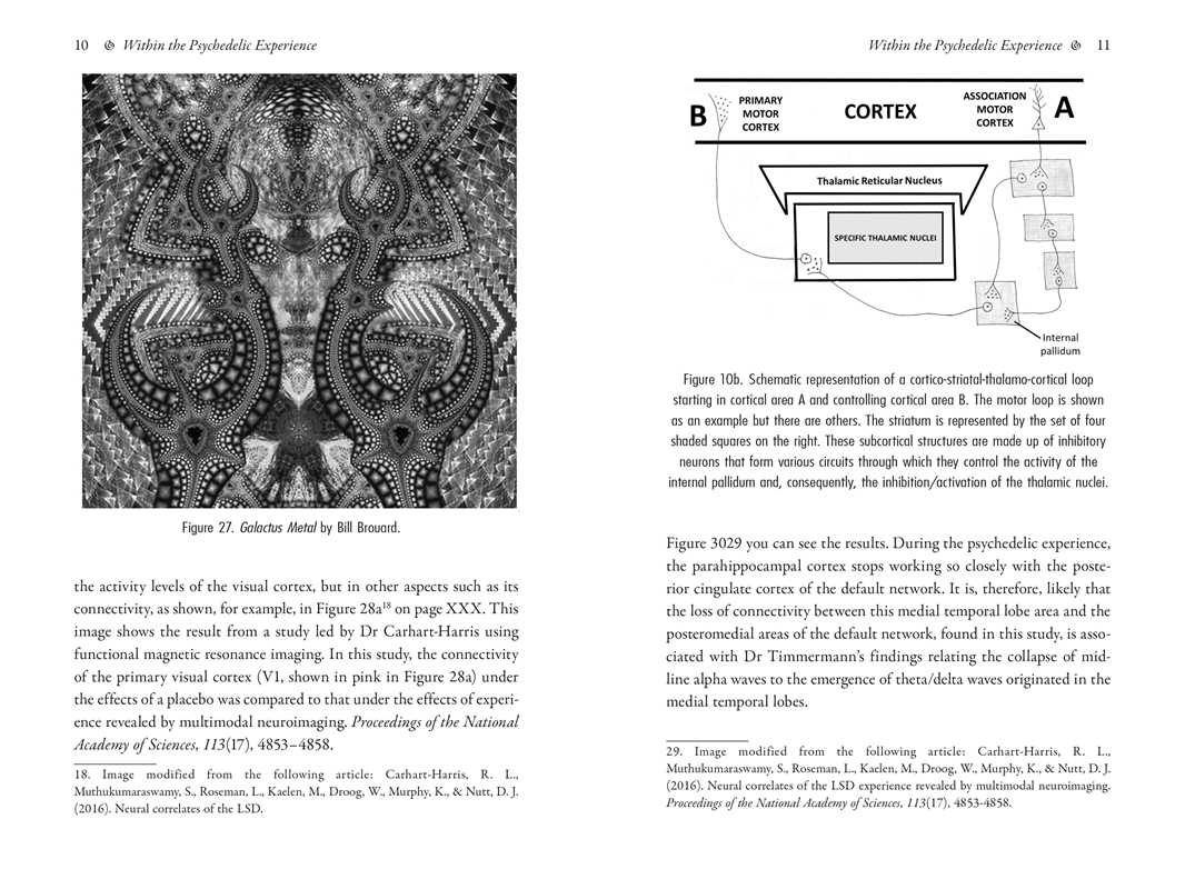 
                  
                    Simon & Schuster - Psychedelics and Mental Health by Irene de Caso
                  
                