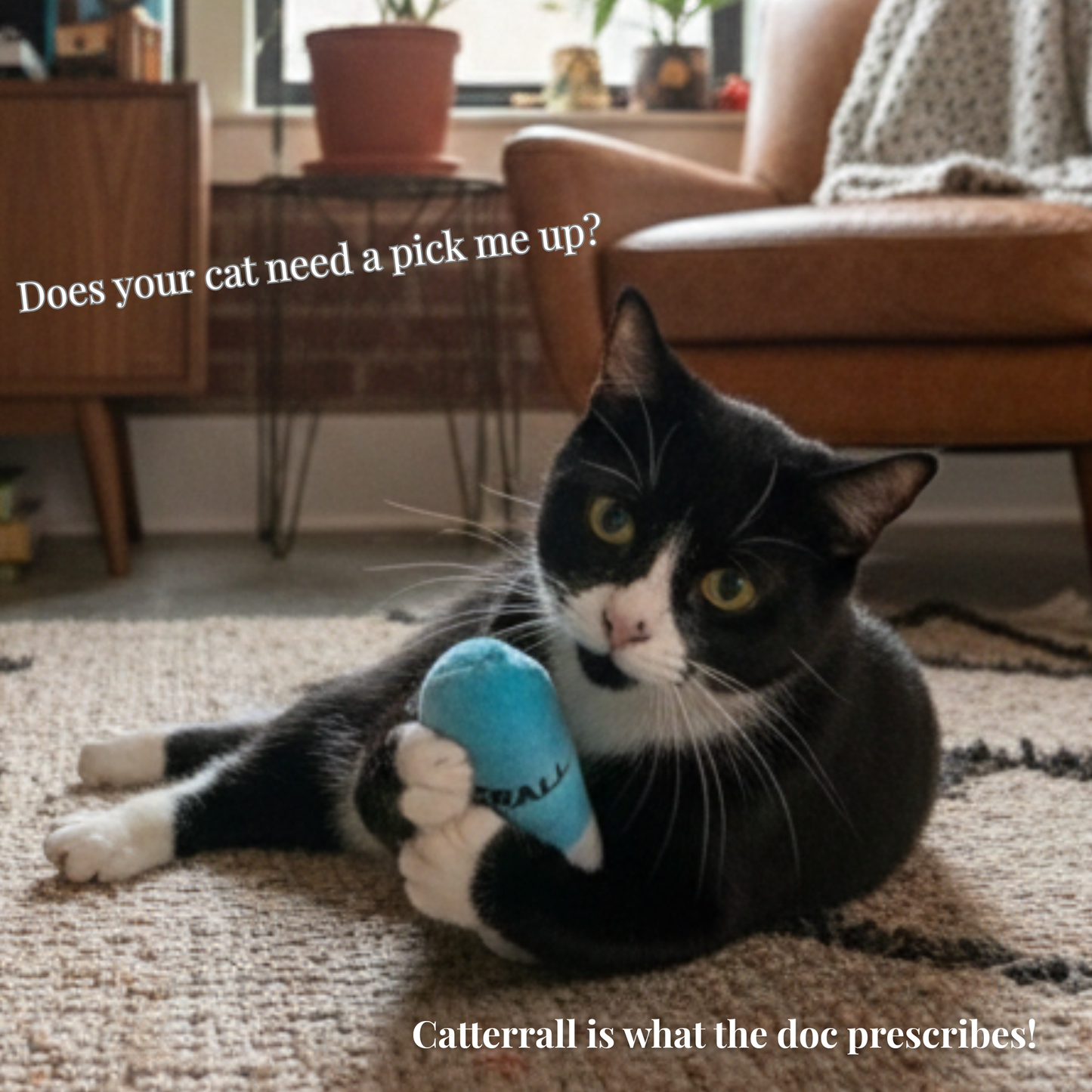 
                  
                    Smokey's Stash - Catterall Catnip Filled Mini Kicker Toys (4 in a pack)
                  
                