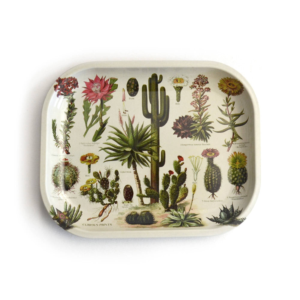 Curious Prints - Small Metal Cactus Ritual Tray / Vintage Cacti Print