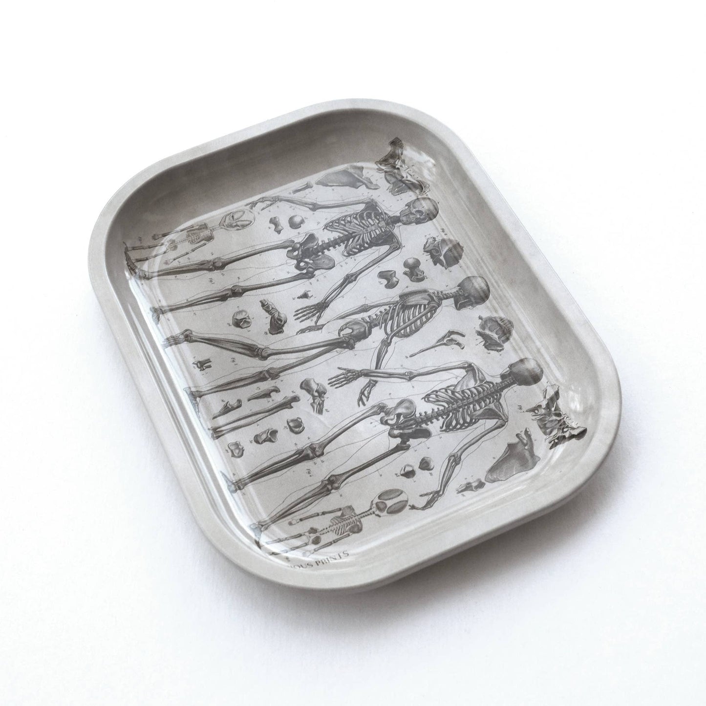 
                  
                    Curious Prints - Small Metal Skeleton Diagram Trinket Tray / Vintage Anatomy
                  
                