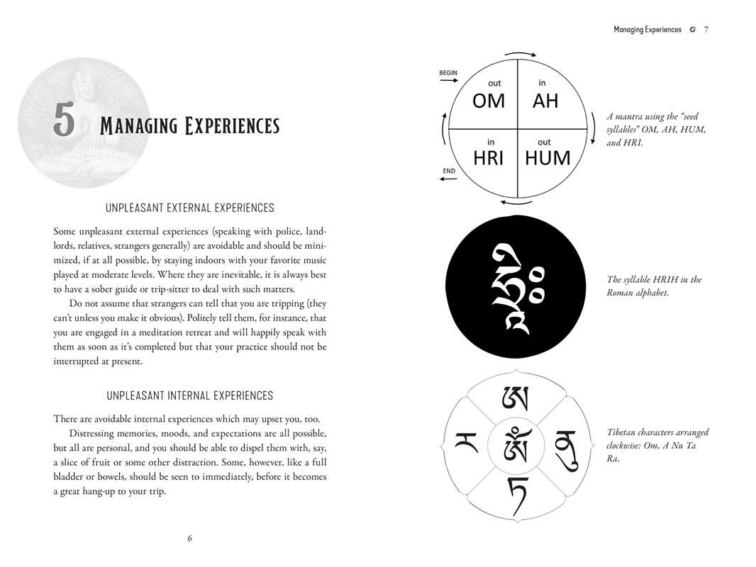 
                  
                    Psychedelic Buddhism by Lama Mike Crowley
                  
                