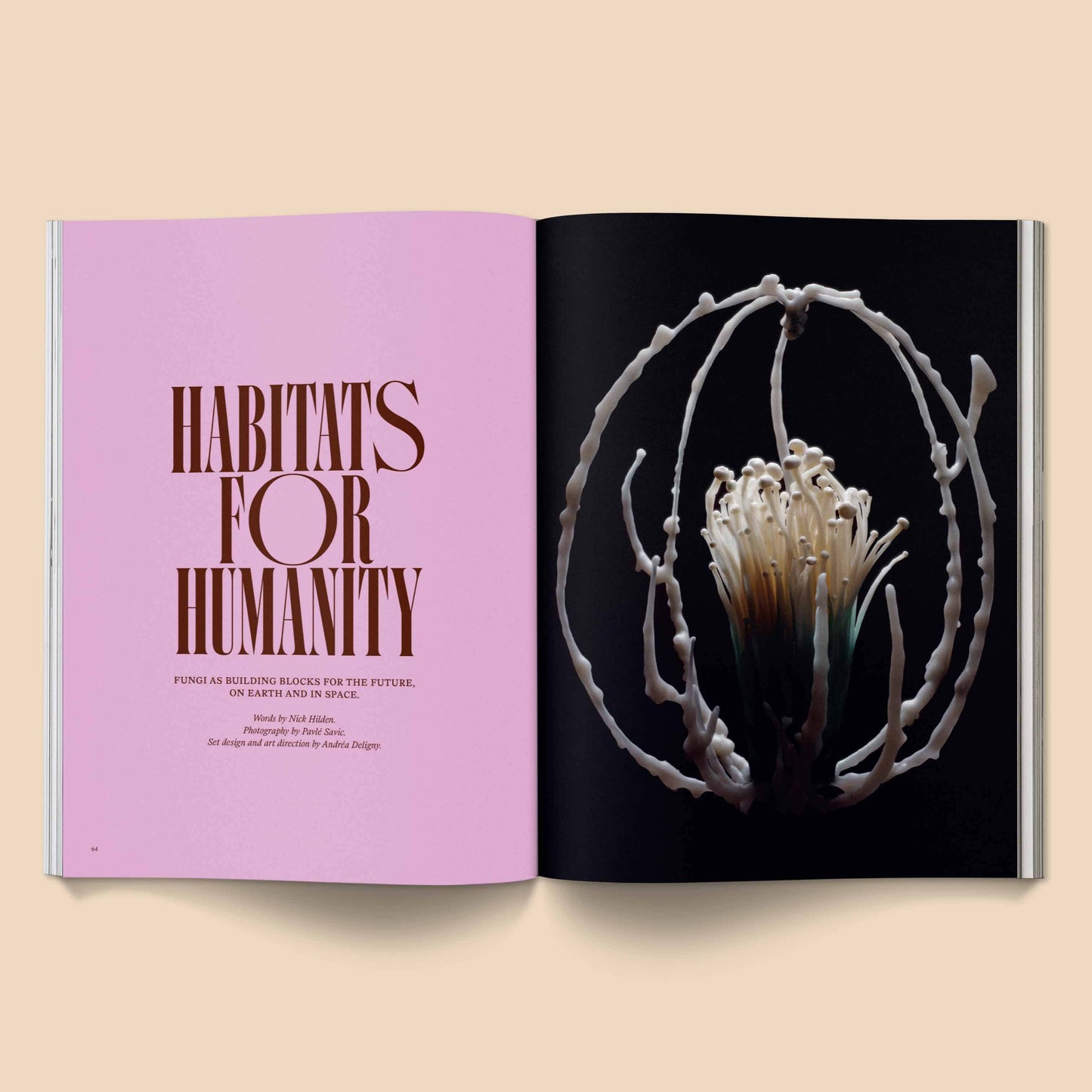 
                  
                    Broccoli - Mushroom People Magazine: Volume 2
                  
                