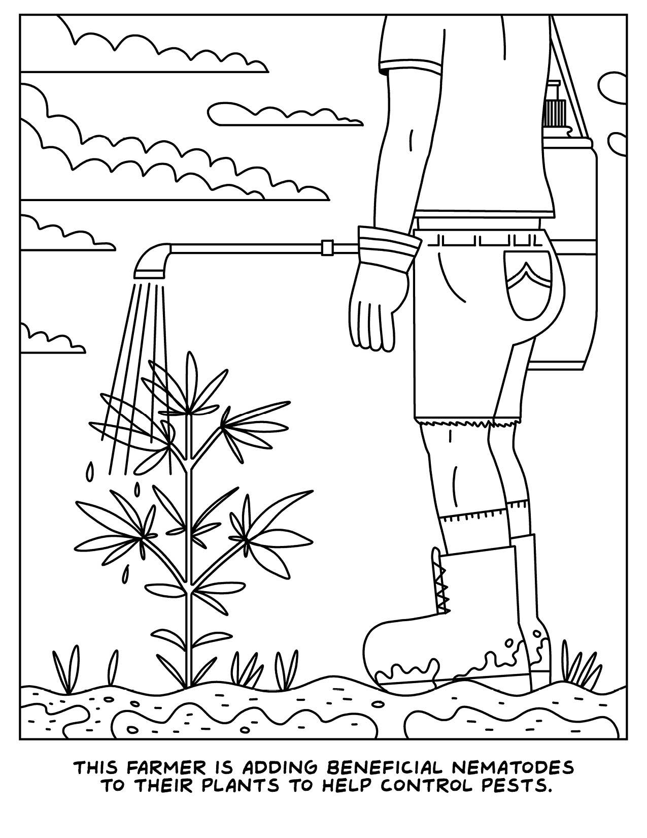 
                  
                    Wood Rocket Products - A Visit to the Cannabis Farm Coloring Book, CB-034
                  
                