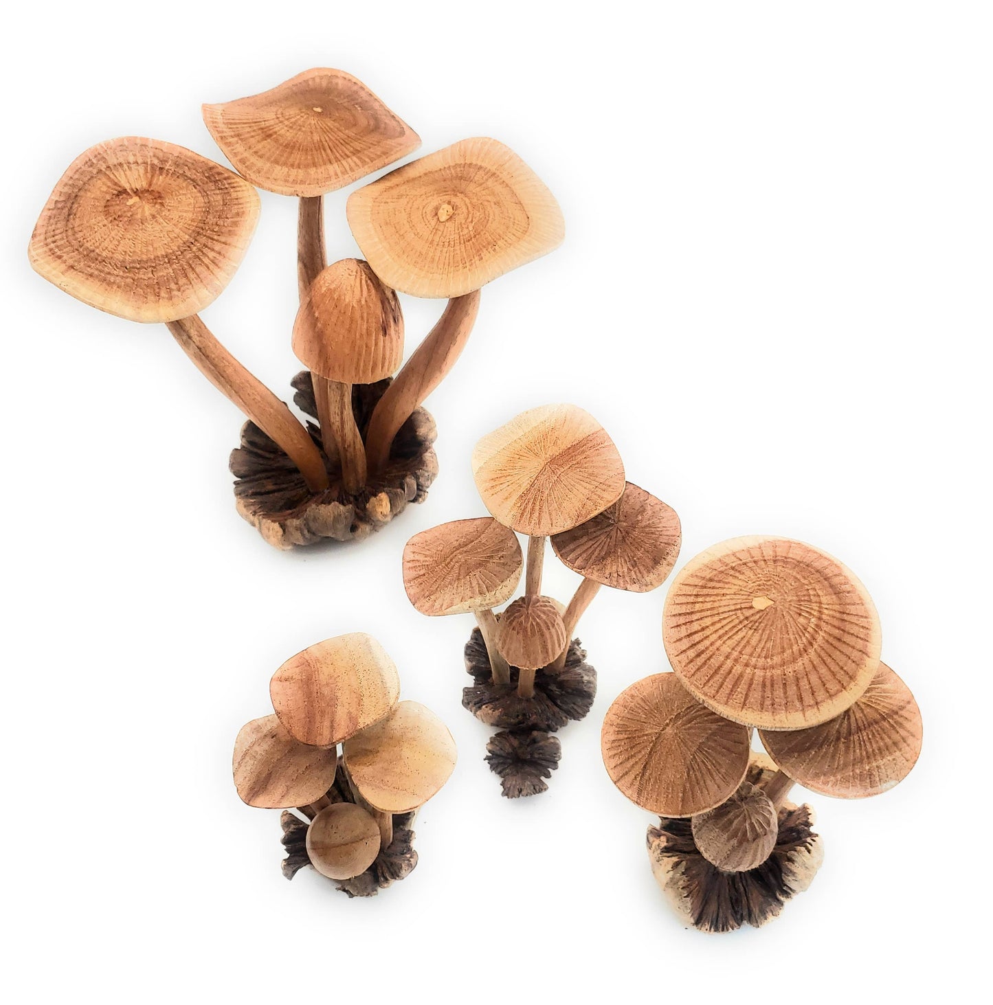 
                  
                    A Lost Art - Hand Carved Extra Large Wooden Magical Mushroom
                  
                