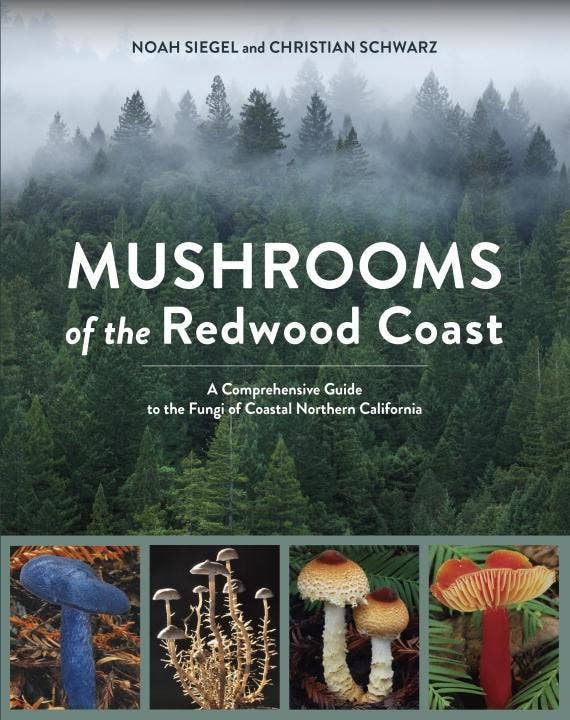 Microcosm Publishing & Distribution - Mushrooms of the Redwood Coast