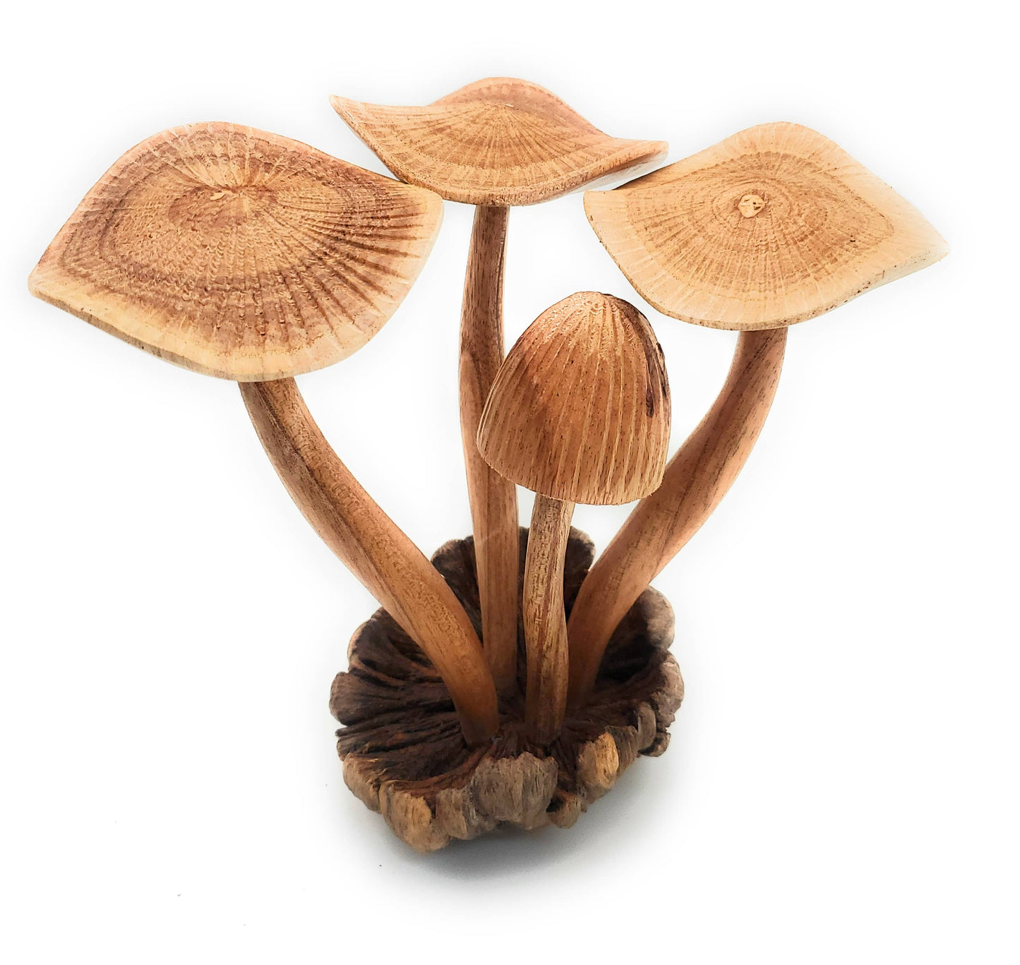 
                  
                    A Lost Art - Hand Carved Extra Large Wooden Magical Mushroom
                  
                