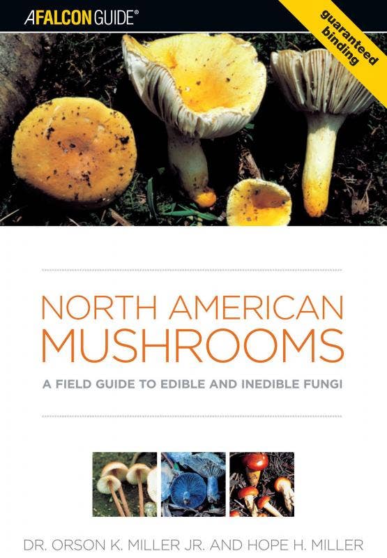 Microcosm Publishing & Distribution - North American Mushrooms