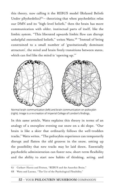 
                  
                    Simon & Schuster - Your Psilocybin Mushroom Companion by Michelle Janikian
                  
                