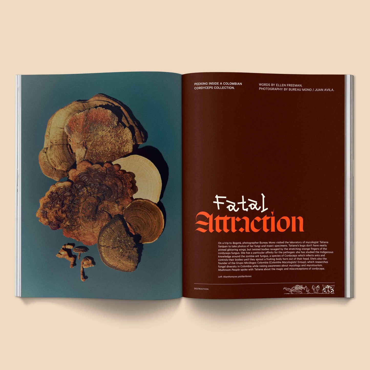 
                  
                    Broccoli - Mushroom People Magazine: Volume 2
                  
                