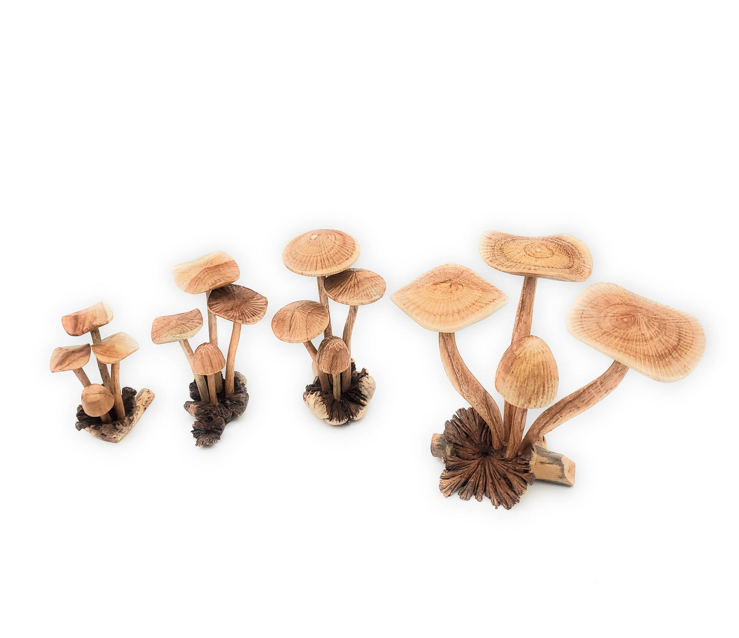 
                  
                    A Lost Art - Hand Carved Extra Large Wooden Magical Mushroom
                  
                