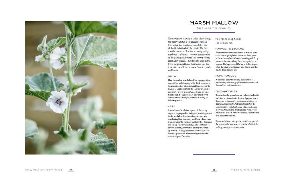 
                  
                    Microcosm Publishing & Distribution - Grow Your Own Botanicals: Deliciously Productive Plants
                  
                
