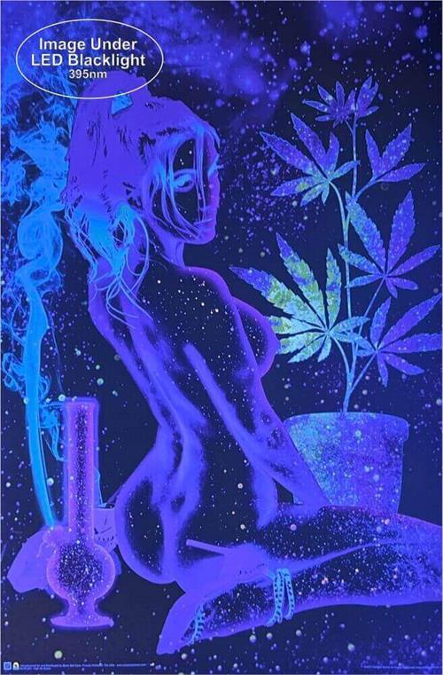 
                  
                    High As Space Non Flocked Blacklight Poster
                  
                