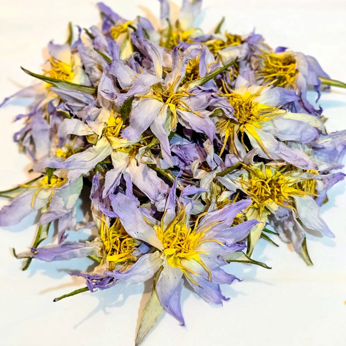 Pure Dried Blue Lotus - 28g - The Higher Consciousness