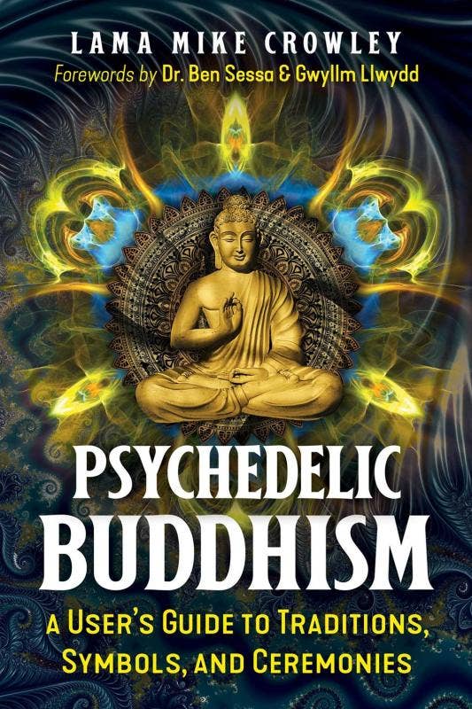 Microcosm Publishing & Distribution - Psychedelic Buddhism: A User’s Guide to Traditions