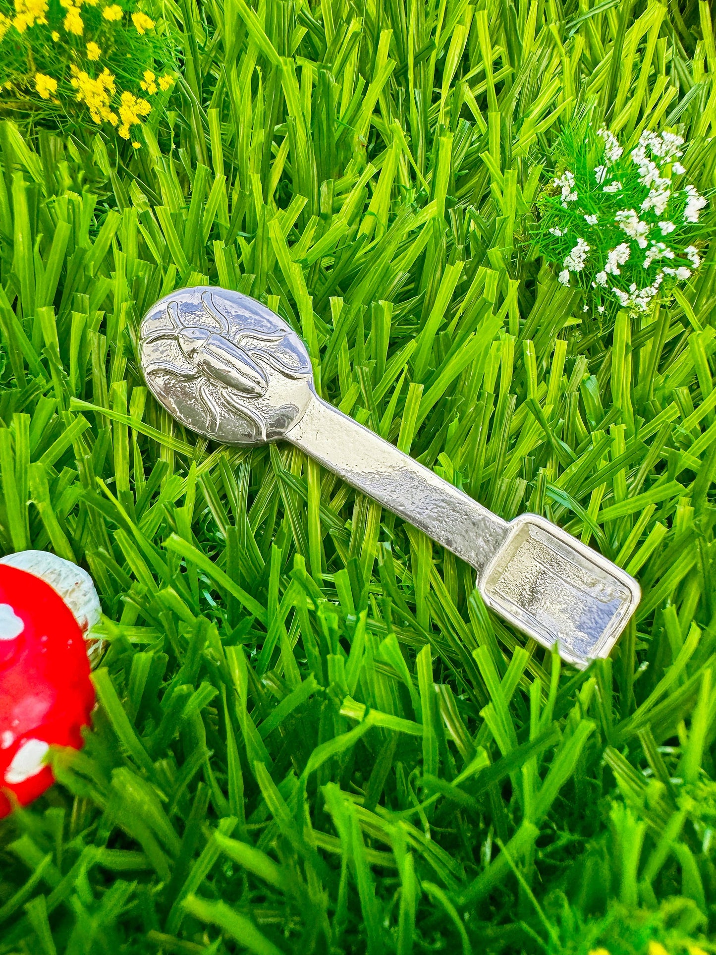 
                  
                    A Shop of Things - Cockroach Scoop
                  
                