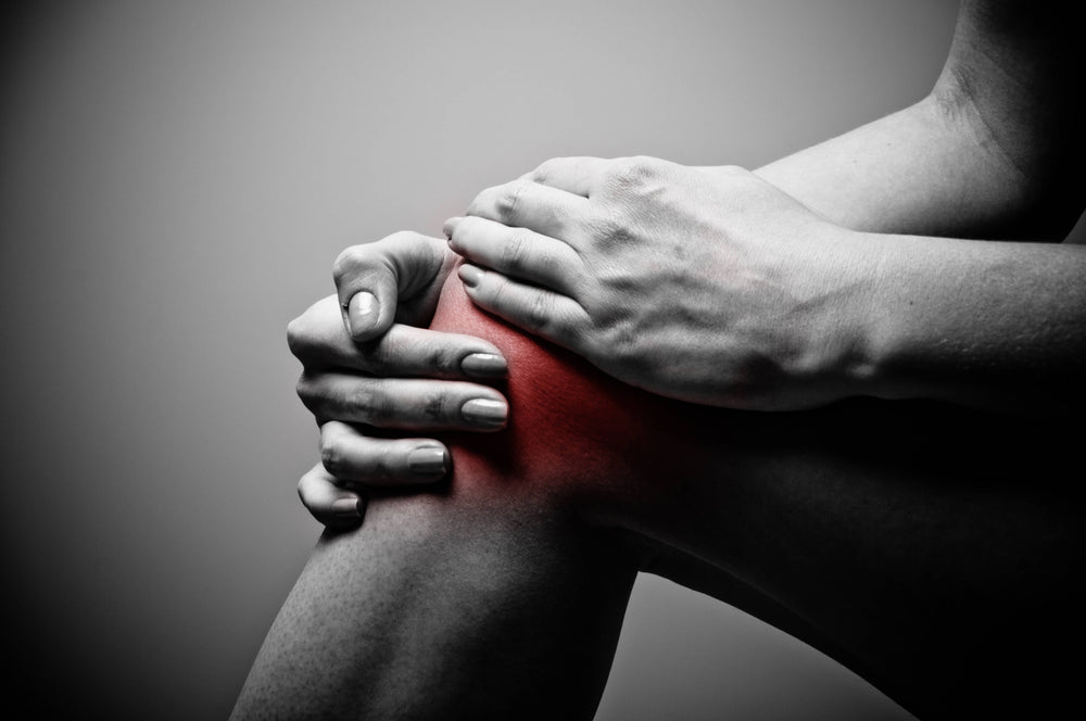 
                  
                    plant alchemy remedies - CBD Muscle Soothe Patch
                  
                