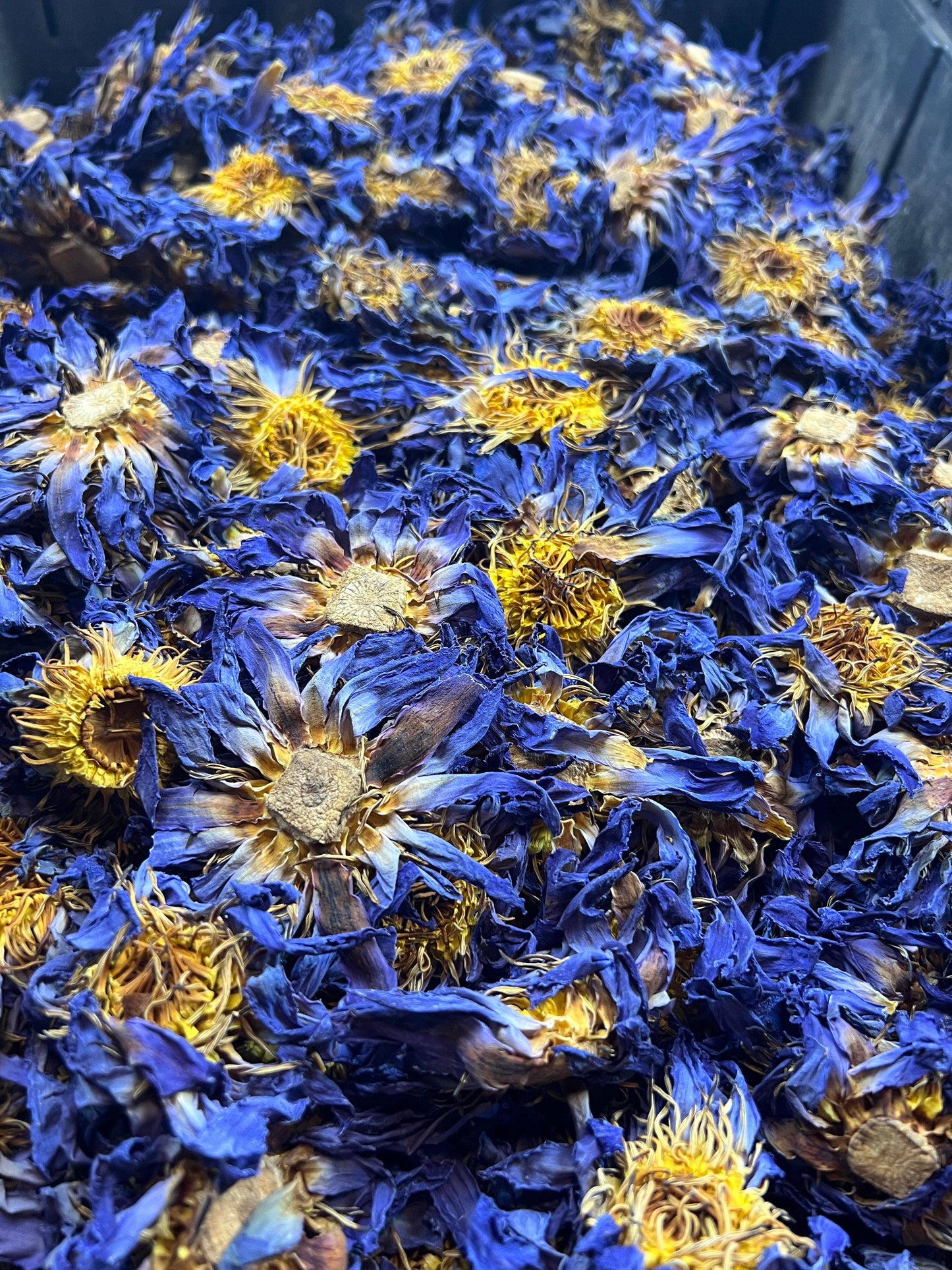 
                  
                    Tree Fifty Four - Blue Lotus Whole Flower | 2oz - 1 KG | Bulk
                  
                