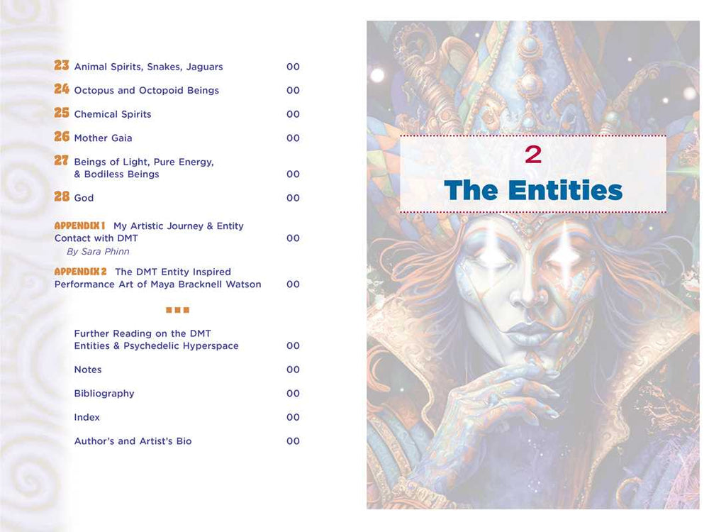 
                  
                    Simon & Schuster - Illustrated Field Guide to DMT Entities by David Jay Brown
                  
                