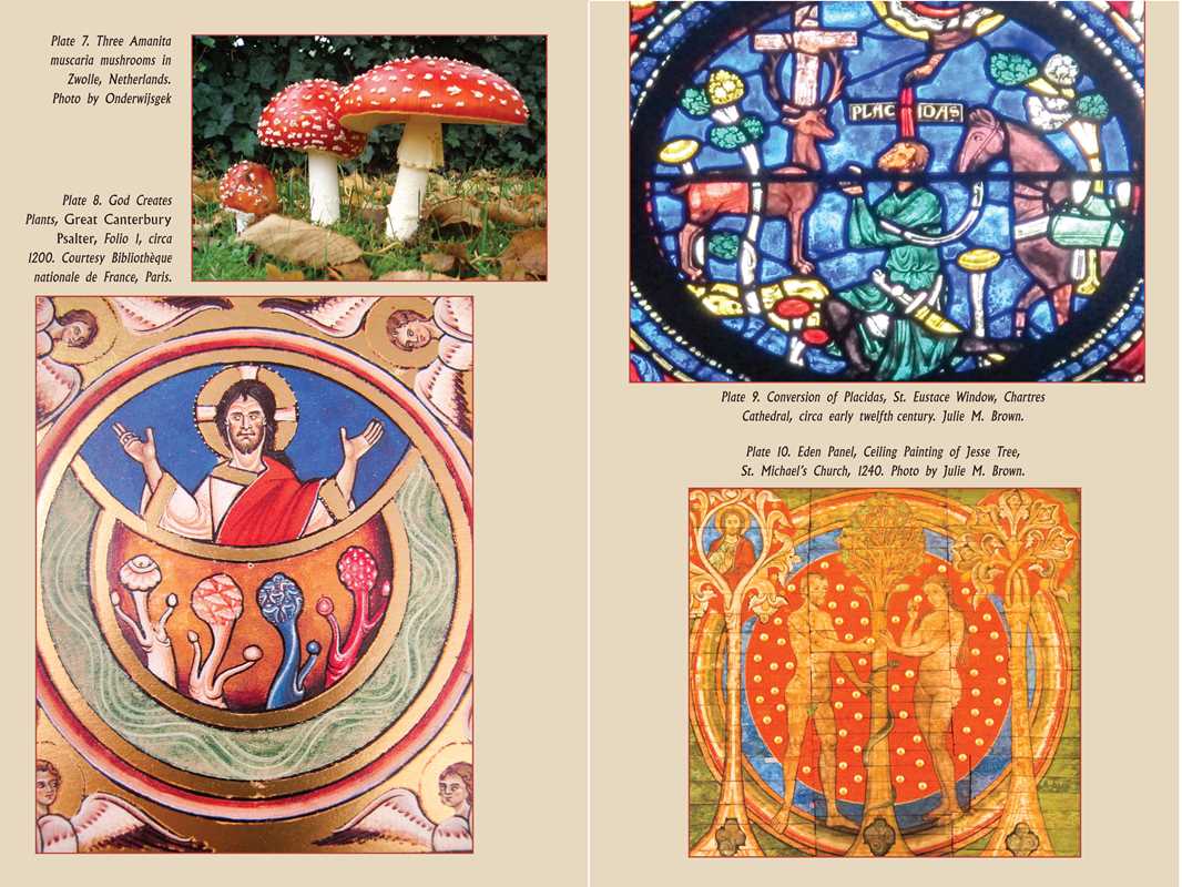 
                  
                    Simon & Schuster - Psychedelic Gospels by Jerry B. Brown: Paperback; 288 pages / English
                  
                