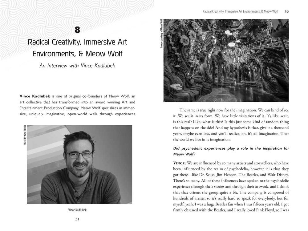 
                  
                    Simon & Schuster - Psychedelics and the Coming Singularity by David Jay Brown
                  
                