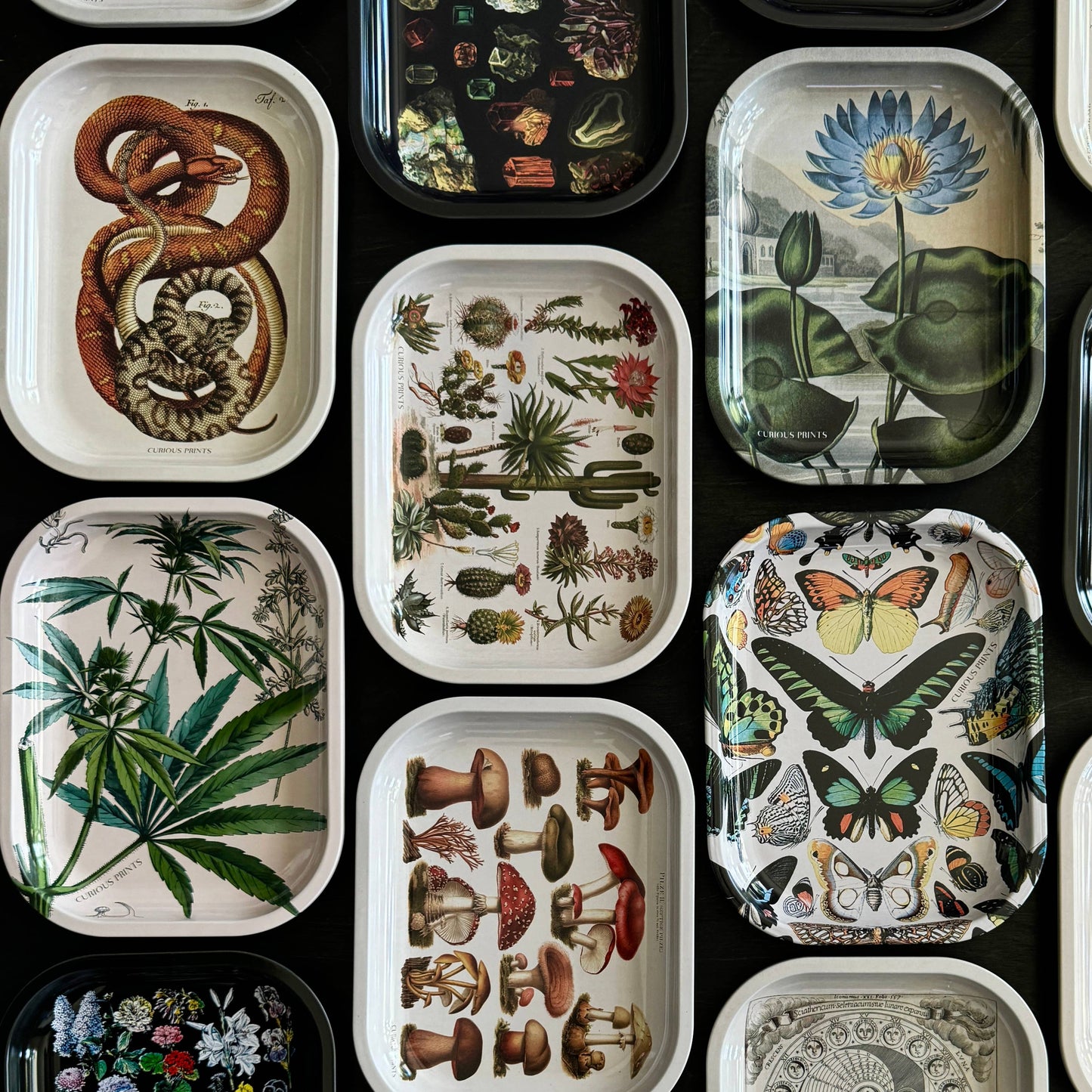 
                  
                    Curious Prints - Small Metal Snake Ritual Tray / Vintage Print Rolling Tray
                  
                