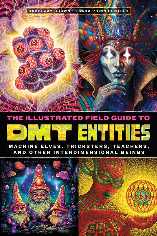 
                  
                    Simon & Schuster - Illustrated Field Guide to DMT Entities by David Jay Brown
                  
                