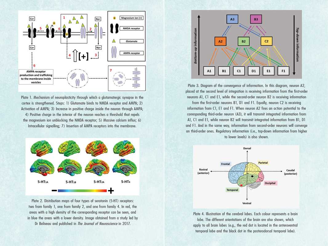 
                  
                    Simon & Schuster - Psychedelics and Mental Health by Irene de Caso
                  
                