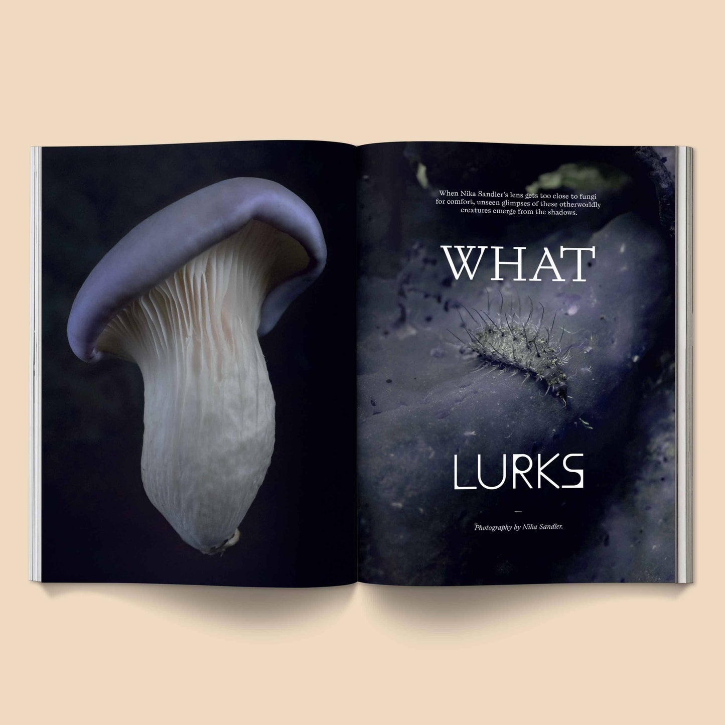 
                  
                    Broccoli - Mushroom People Magazine: Volume 2
                  
                