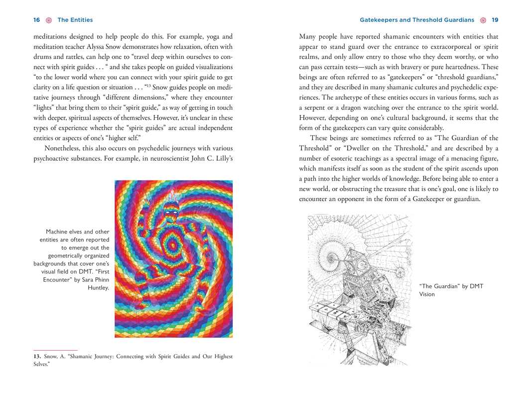 
                  
                    Simon & Schuster - Illustrated Field Guide to DMT Entities by David Jay Brown
                  
                