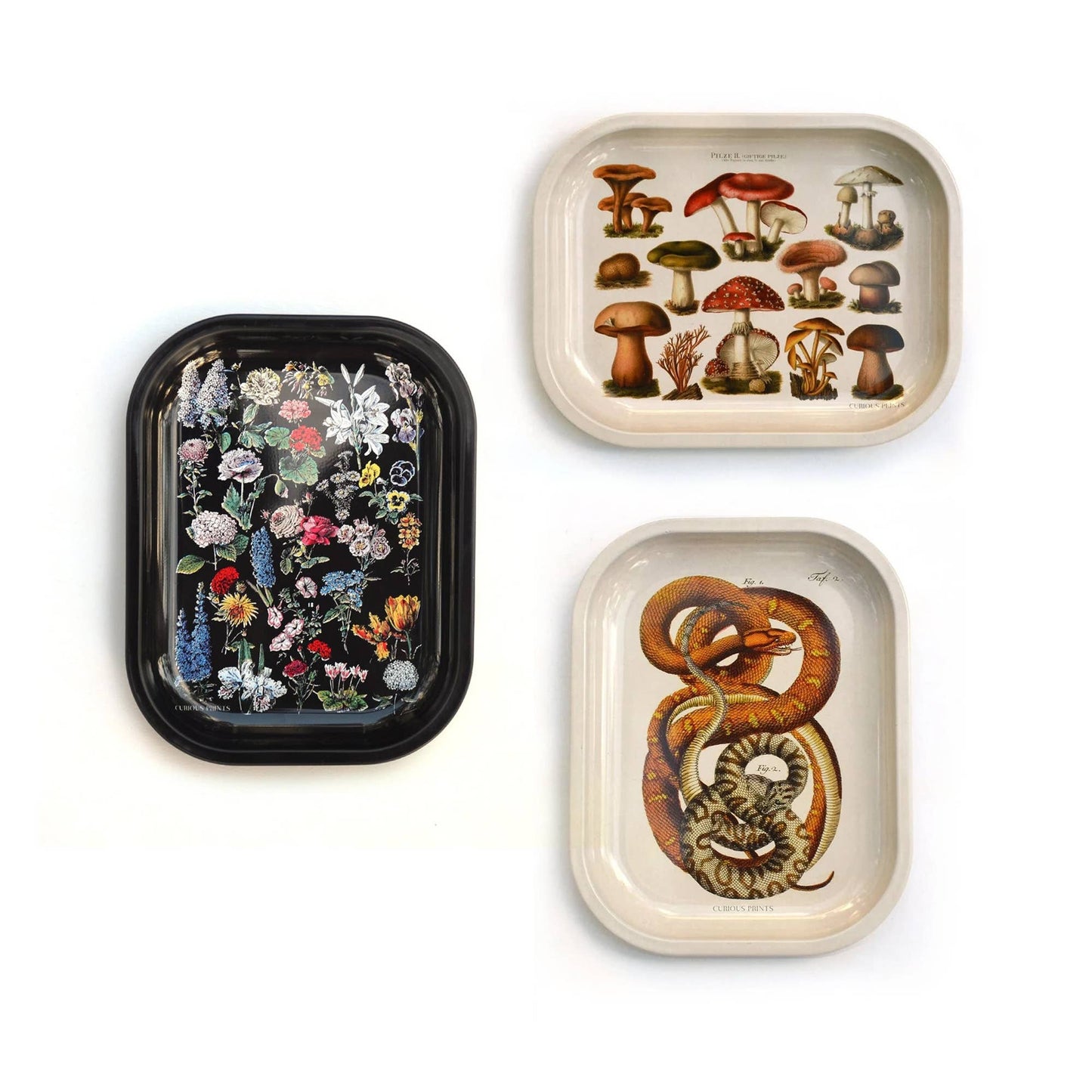 
                  
                    Curious Prints - Small Metal Skeleton Diagram Trinket Tray / Vintage Anatomy
                  
                