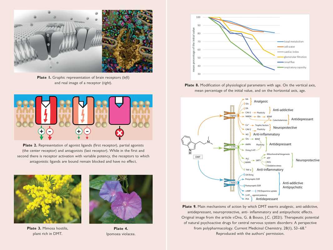 
                  
                    Simon & Schuster - Neuroscience of Psychedelics by Genís Ona
                  
                