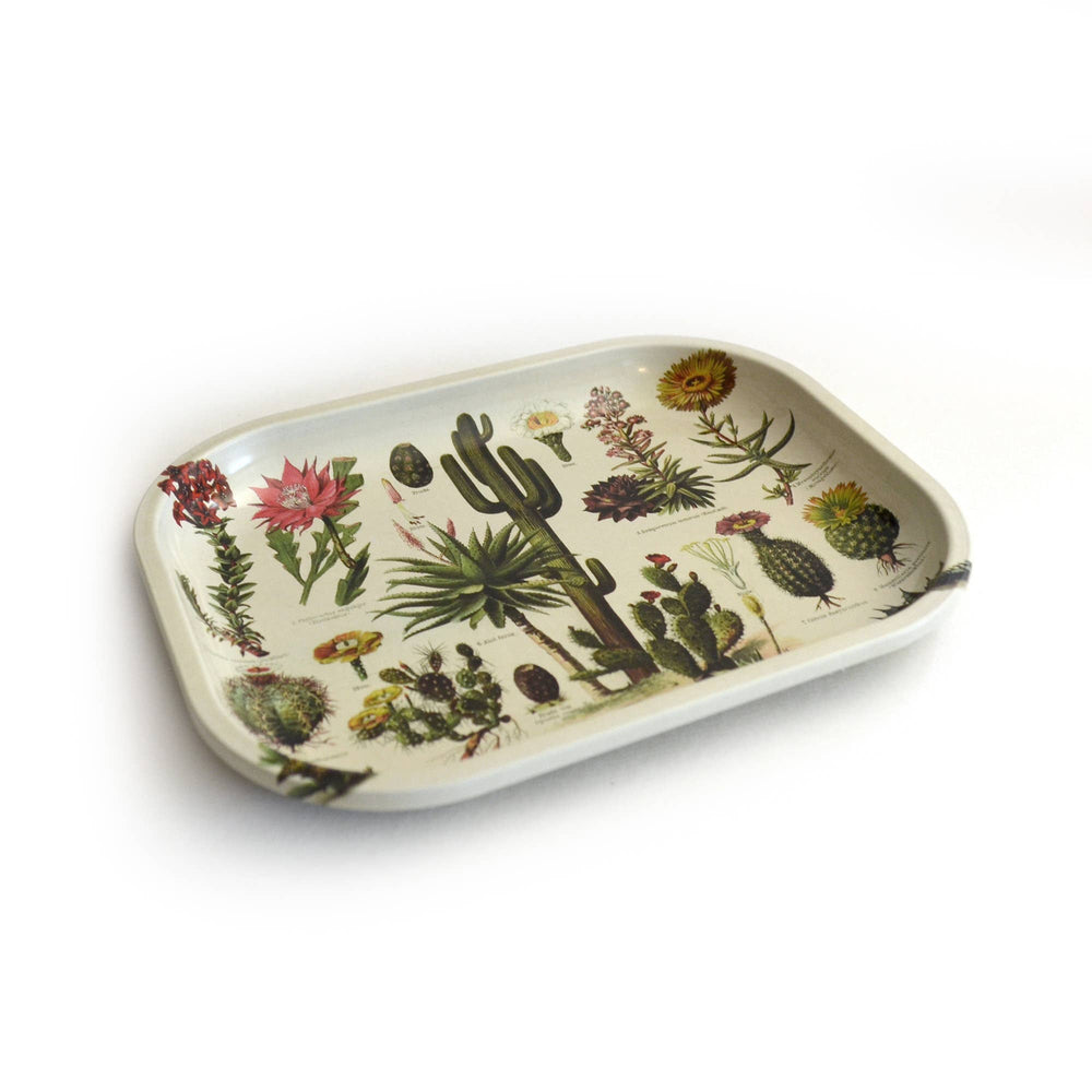 
                  
                    Curious Prints - Small Metal Cactus Ritual Tray / Vintage Cacti Print
                  
                