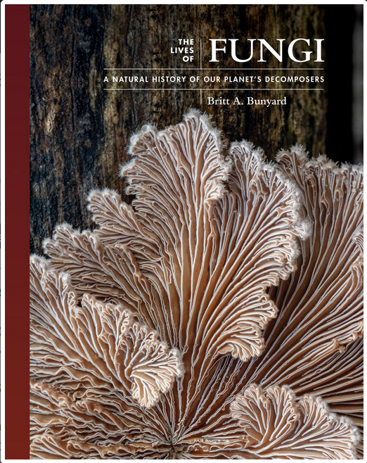 Lives of Fungi: A Natural History of Decomposers