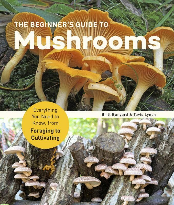 Beginner's Guide to Mushrooms: Everything You Need to Know