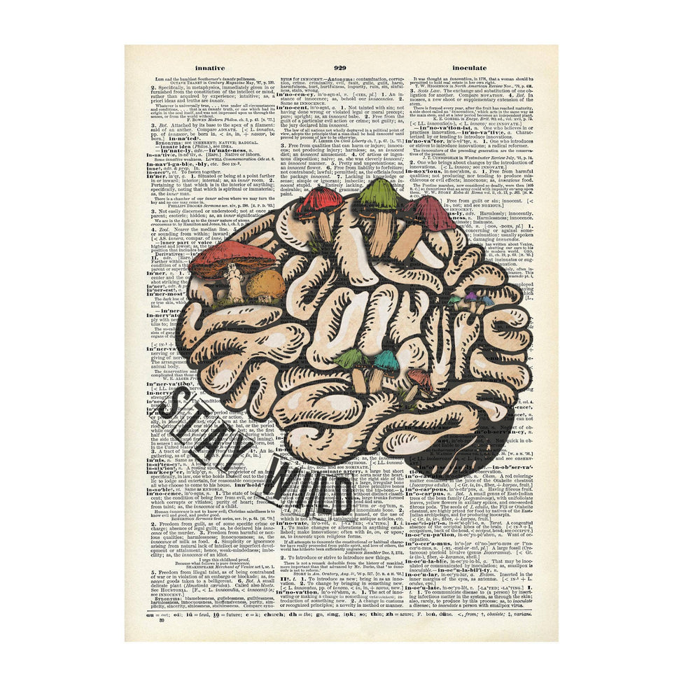 Crazilyhumbledesigns - Skeleton, 420 , art , Vintage, Dictionary Prints