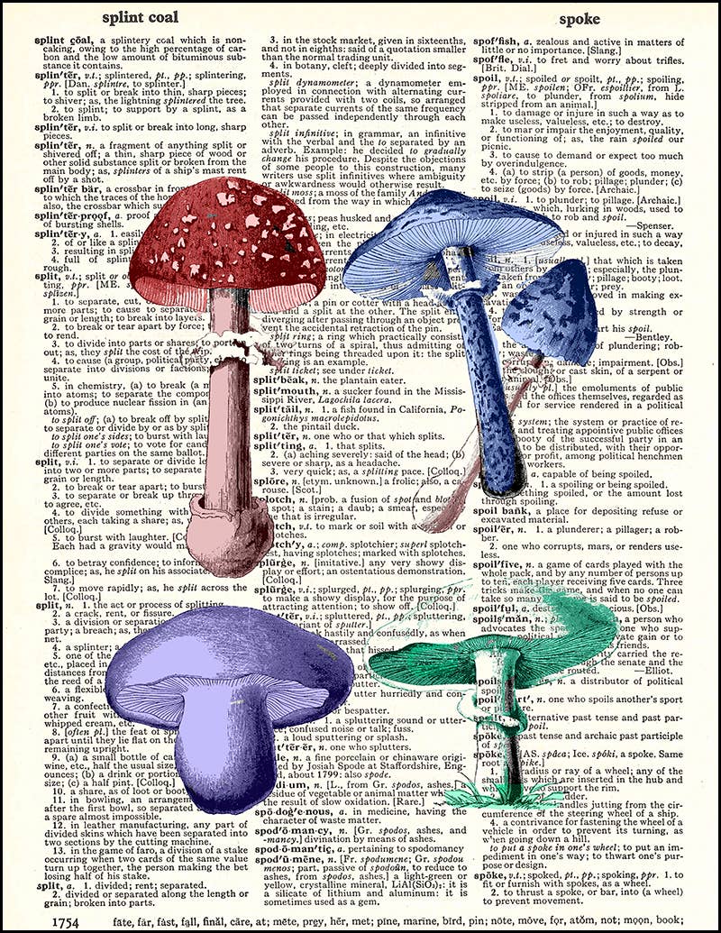 Colorful Mushrooms Dictionary Print