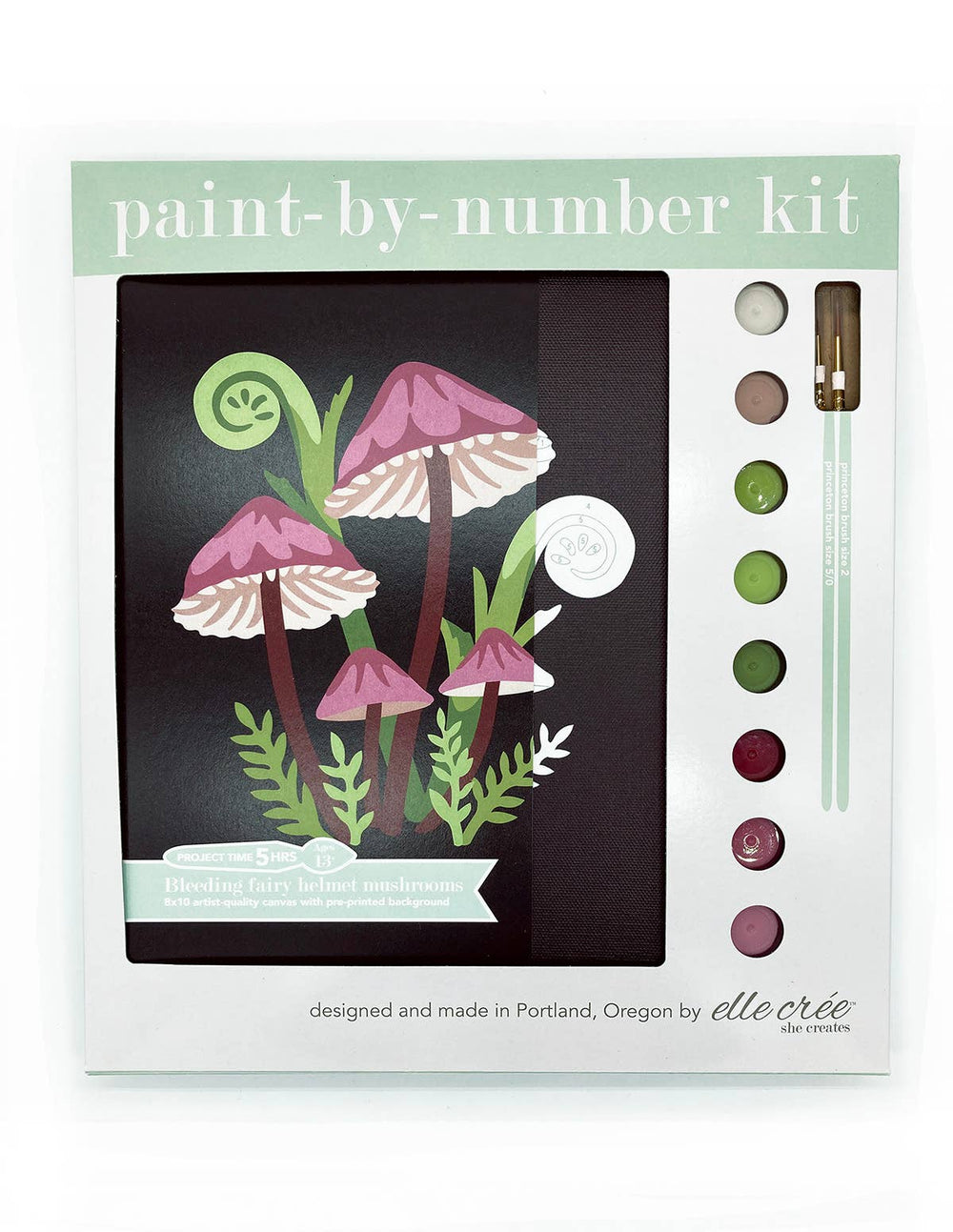 Bleeding Fairy Helmet Mushrooms Paint-by-Number Kit