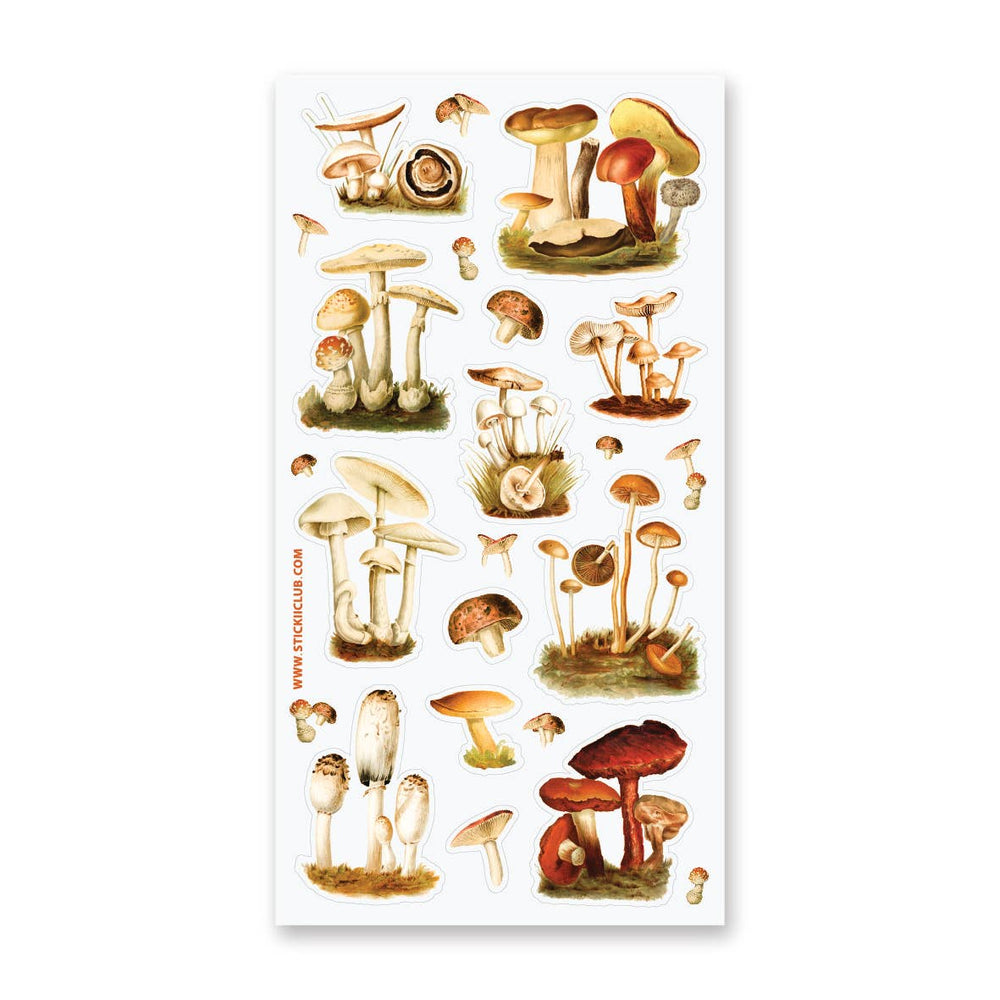 Wild Mushrooms Sticker Sheet